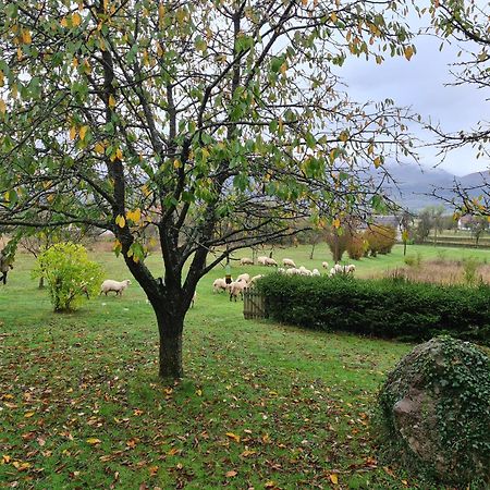 Forestside House Gacka With Relax Area Sinac Esterno foto