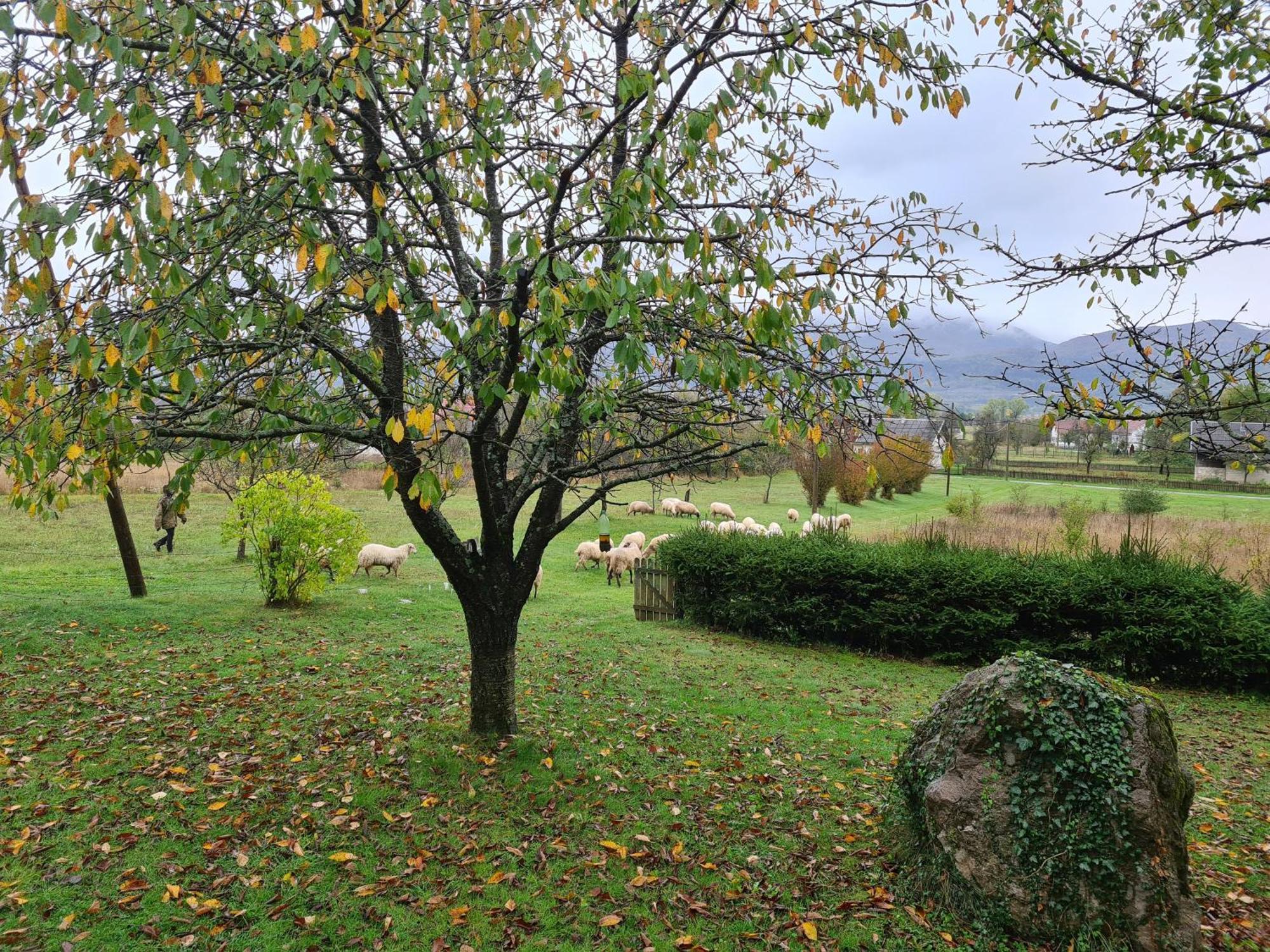 Forestside House Gacka With Relax Area Sinac Esterno foto