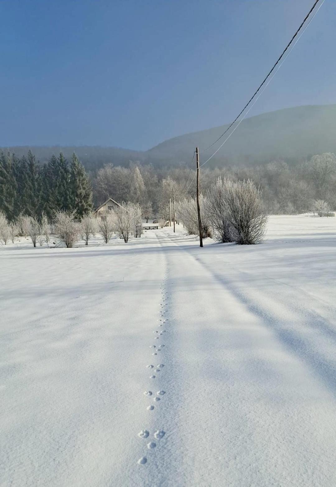 Forestside House Gacka With Relax Area Sinac Esterno foto